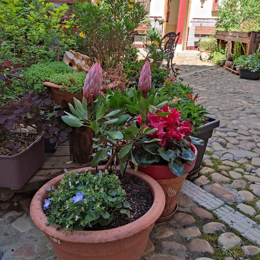 Hostal Castilla 아랑페즈 외부 사진