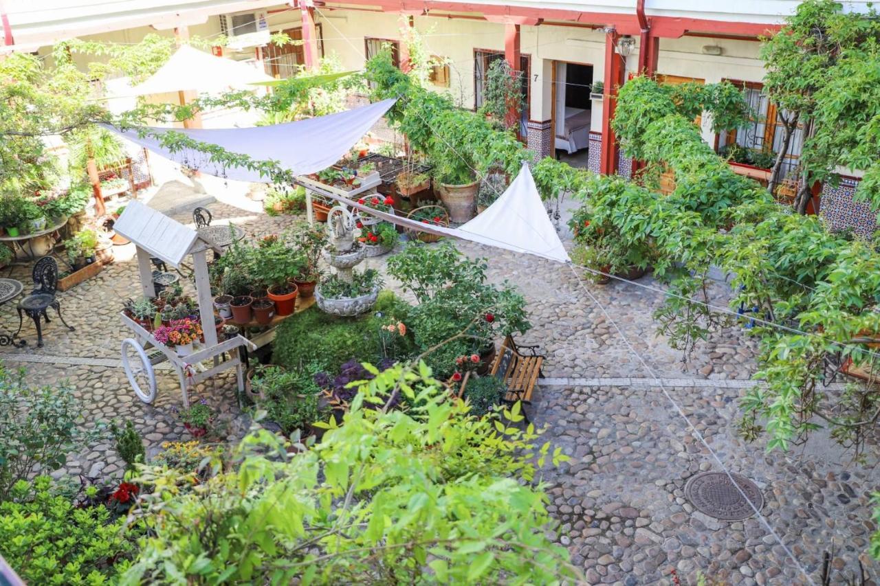 Hostal Castilla 아랑페즈 외부 사진